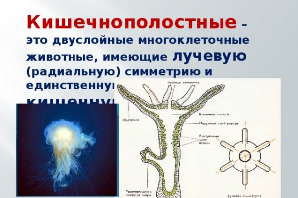 Кракен наркошоп сайт