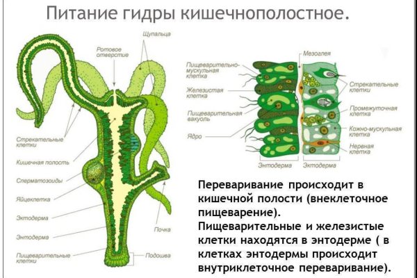 Kraken оригинальная ссылка