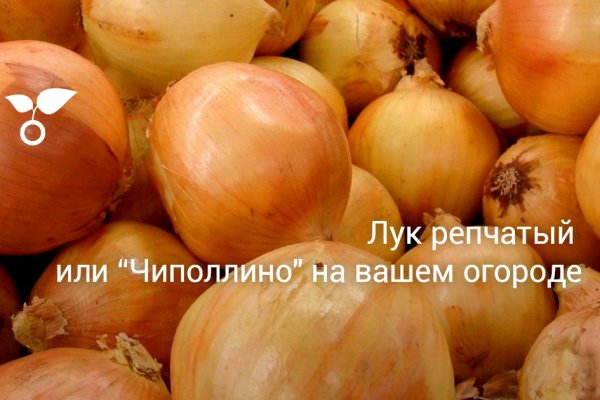 Кракен наркокортель